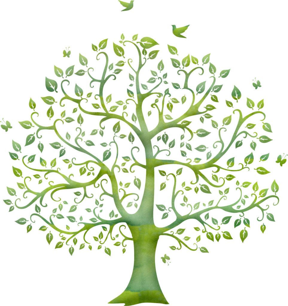 arbre